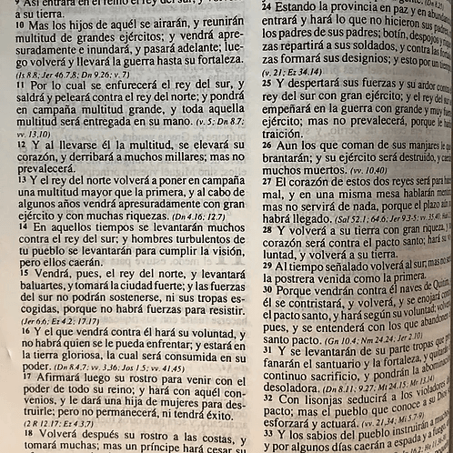 La Biblia Juvenil