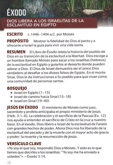 Los libros de la Biblia a tu alcance