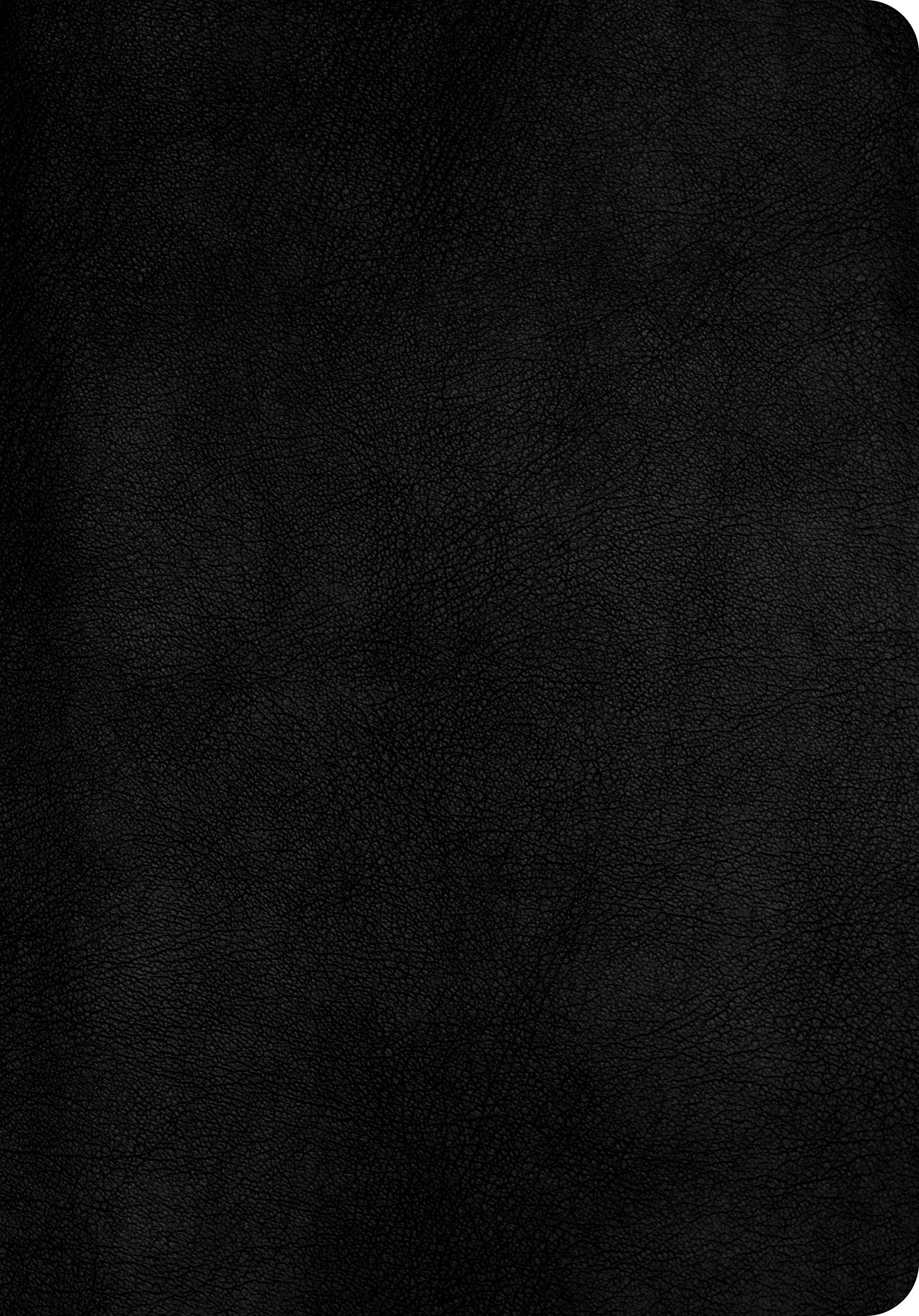 NVI Biblia Letra Gigante Negro, Piel Fabricada.