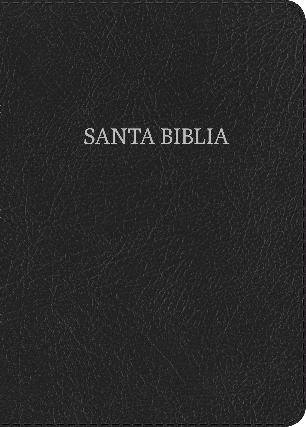 NVI Biblia Letra Gigante Negro