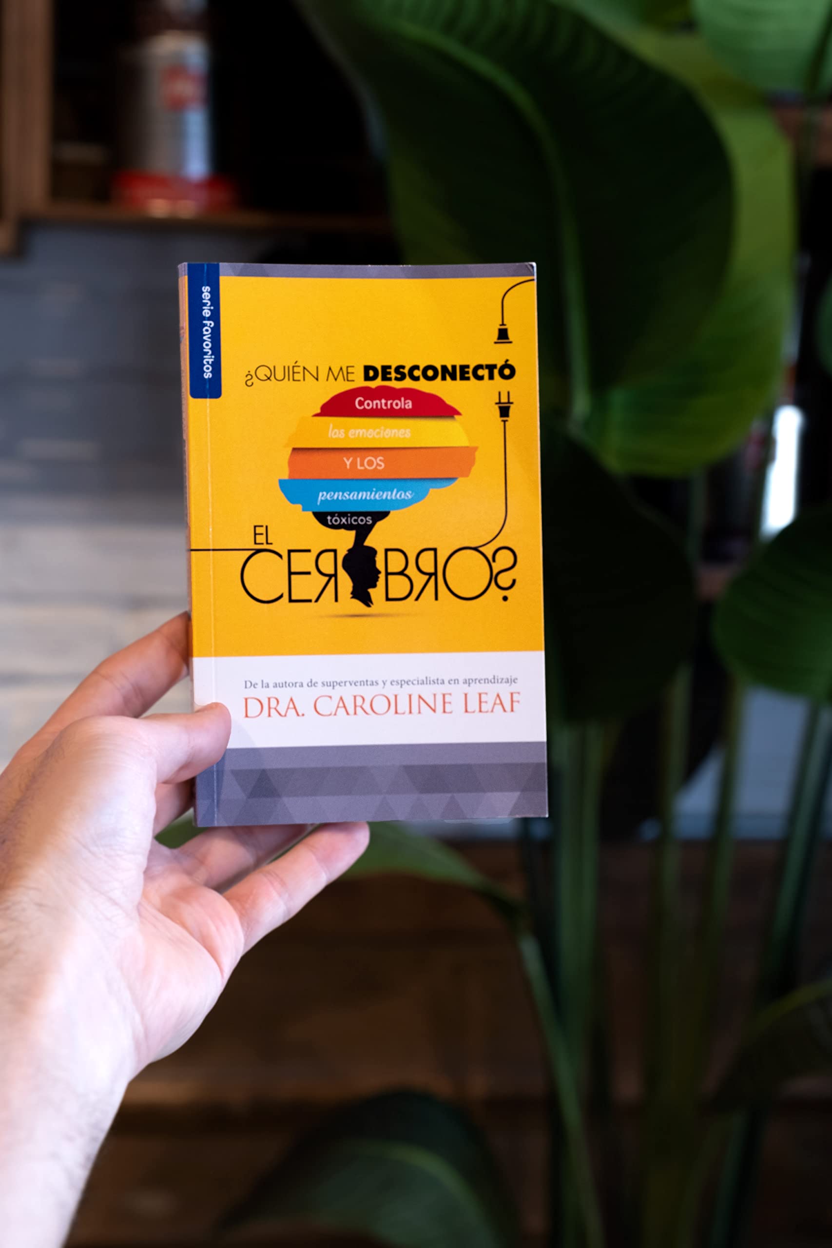 ¿Quién Me Desconectó El Cerebro?, bolsillo