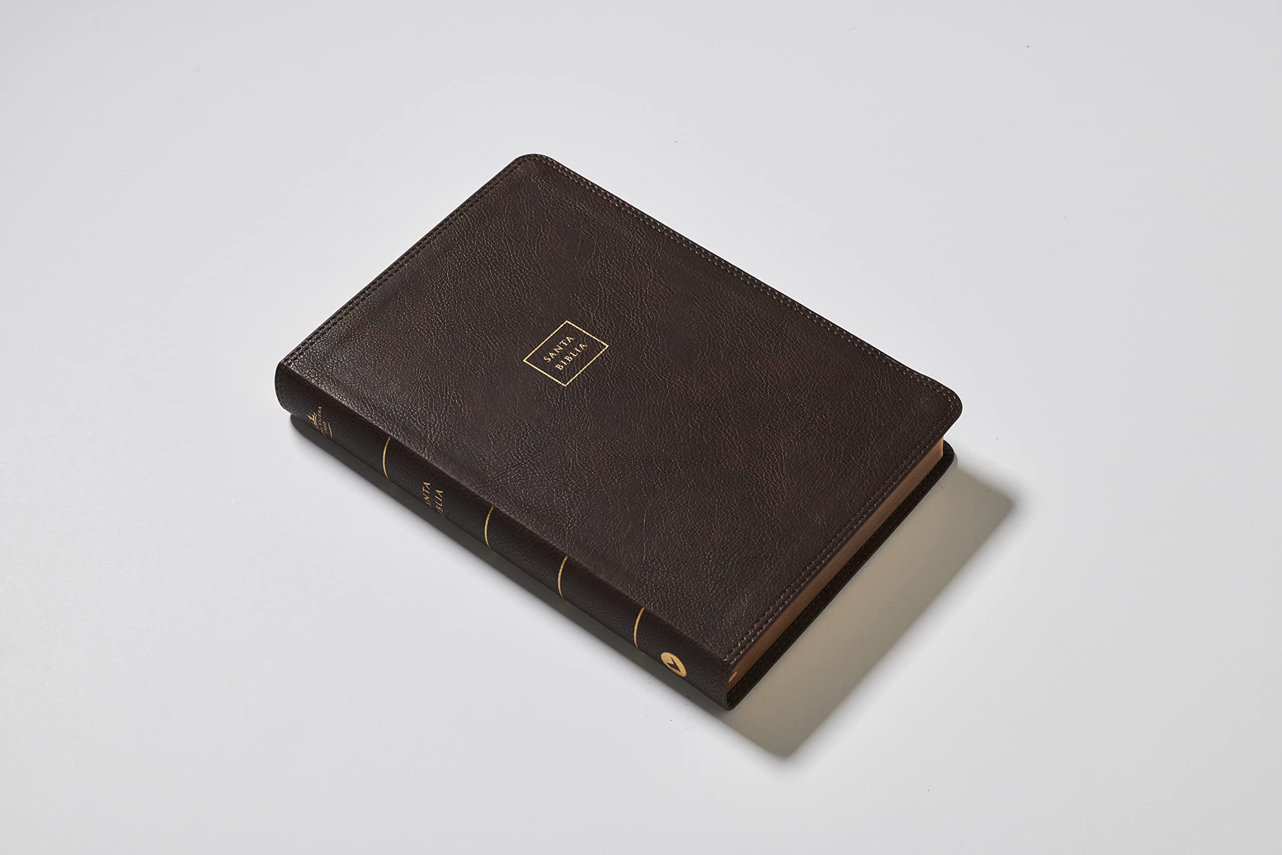 Reina Valera 1960 Biblia del Ministro Letra Gigante Café