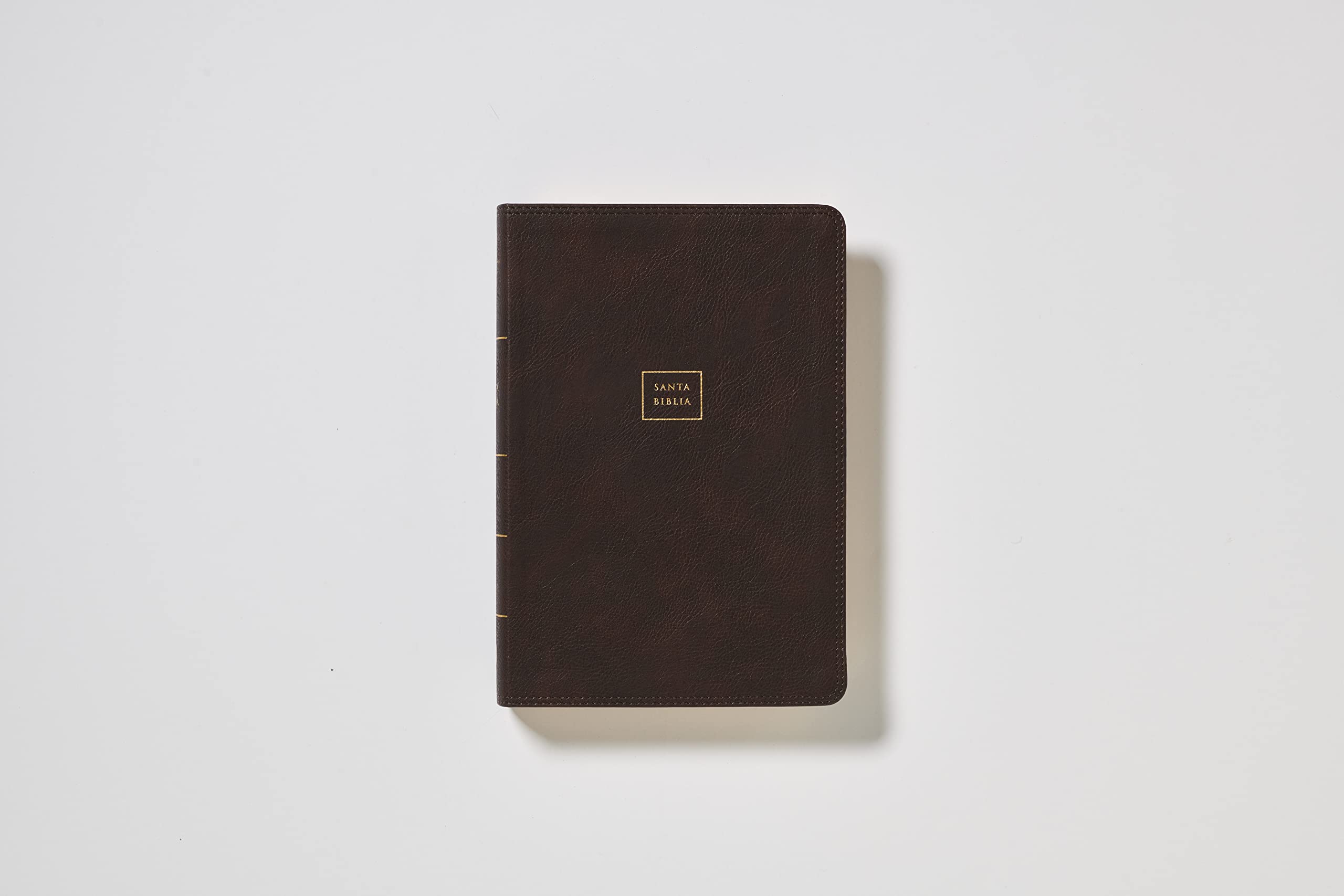 Reina Valera 1960 Biblia del Ministro Letra Gigante Café