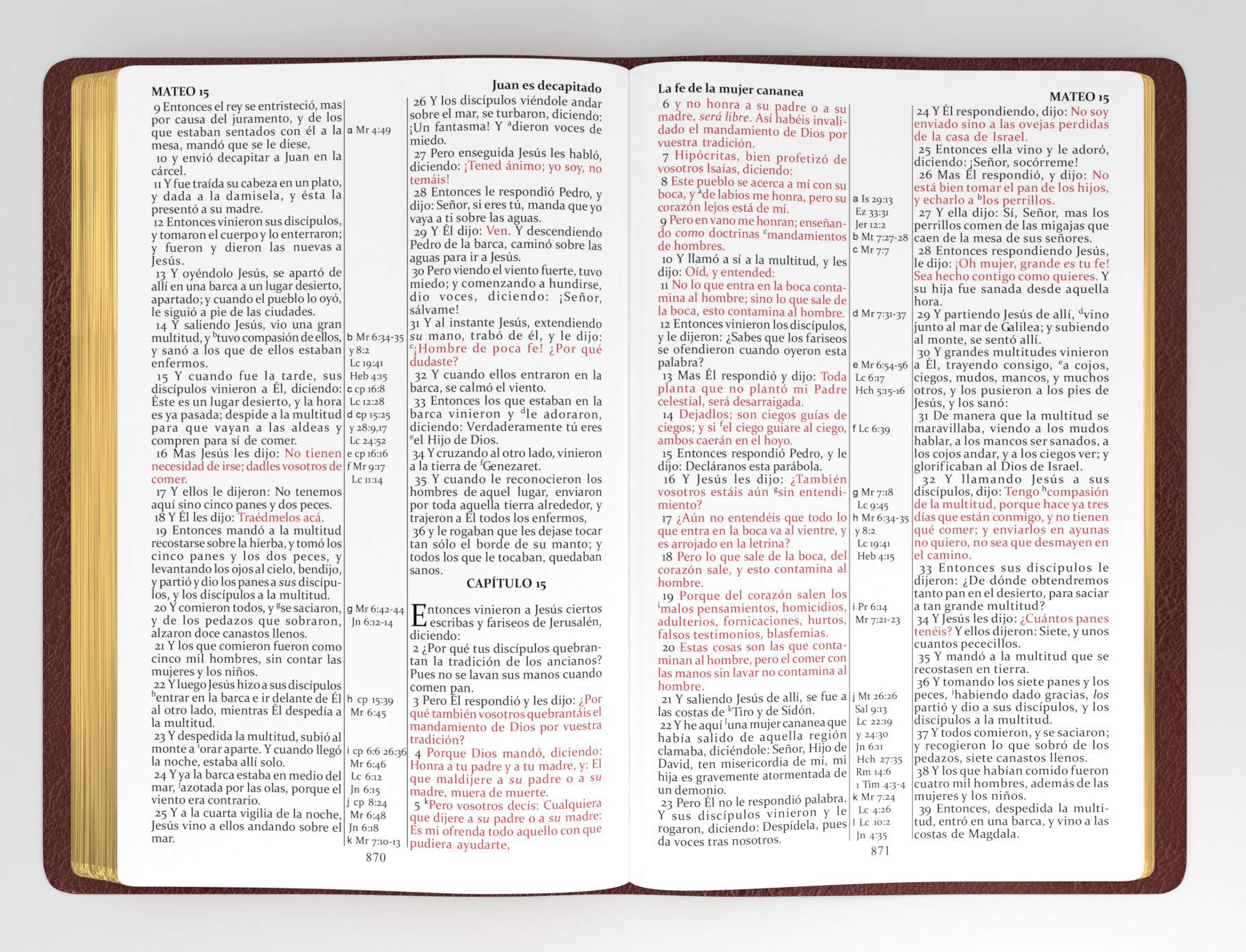 RVG Santa Biblia Café PJR