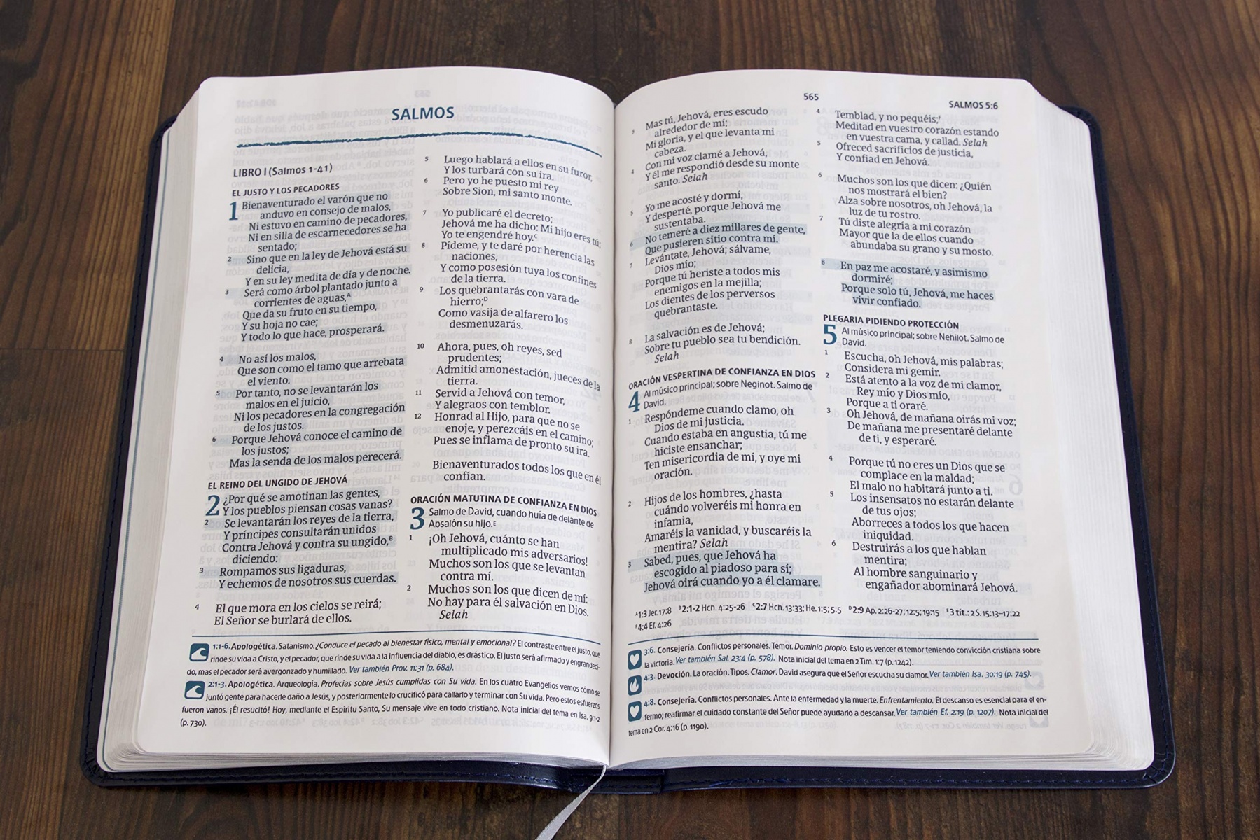 RVR 1960 Biblia del Pescador letra grande, azul símil piel