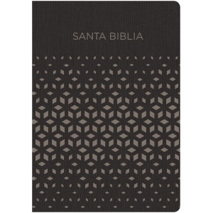 RVR 1960 Biblia para regalos y premios, negro/plata símil pi