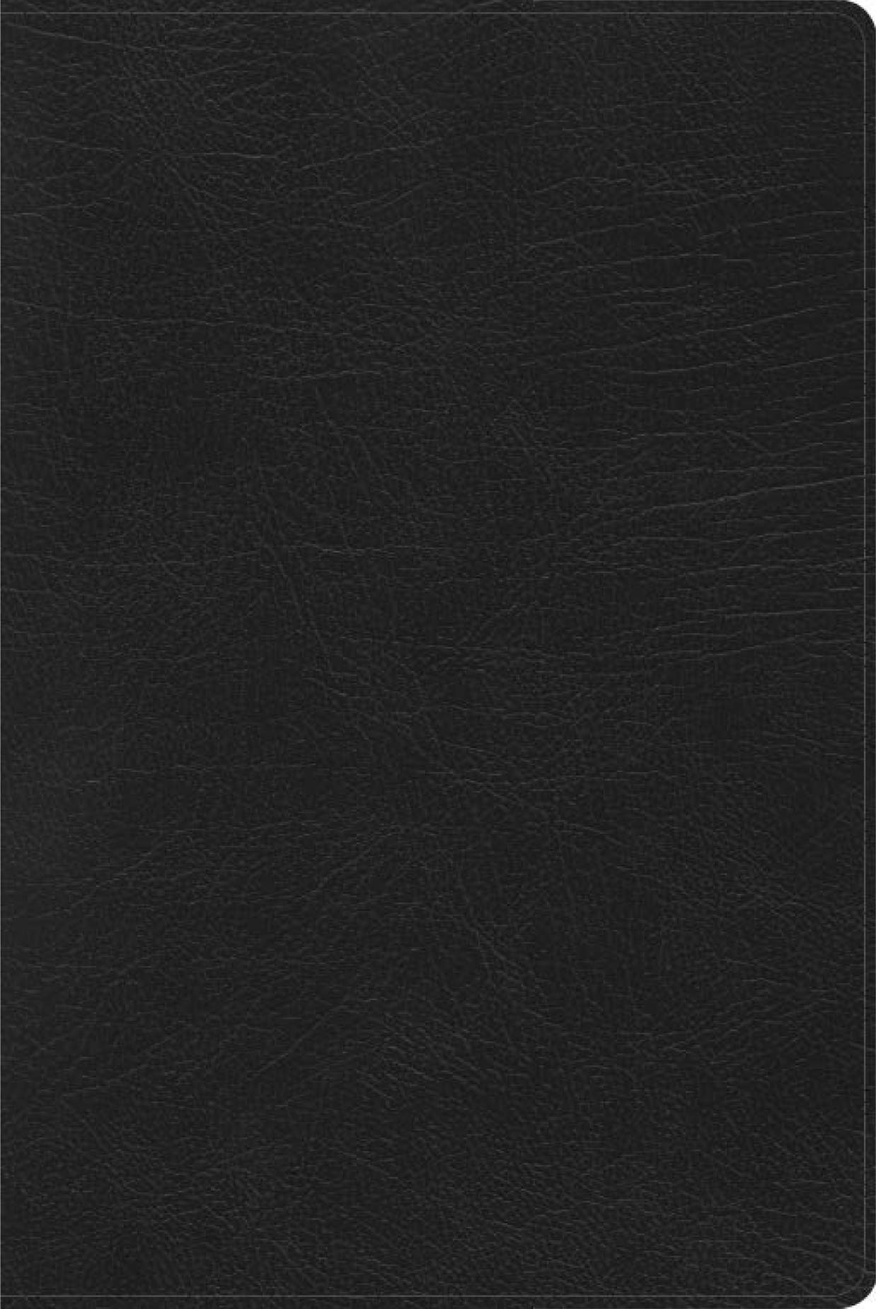 RVR1960 Biblia de Estudio Arcoiris Negro Sim. Piel