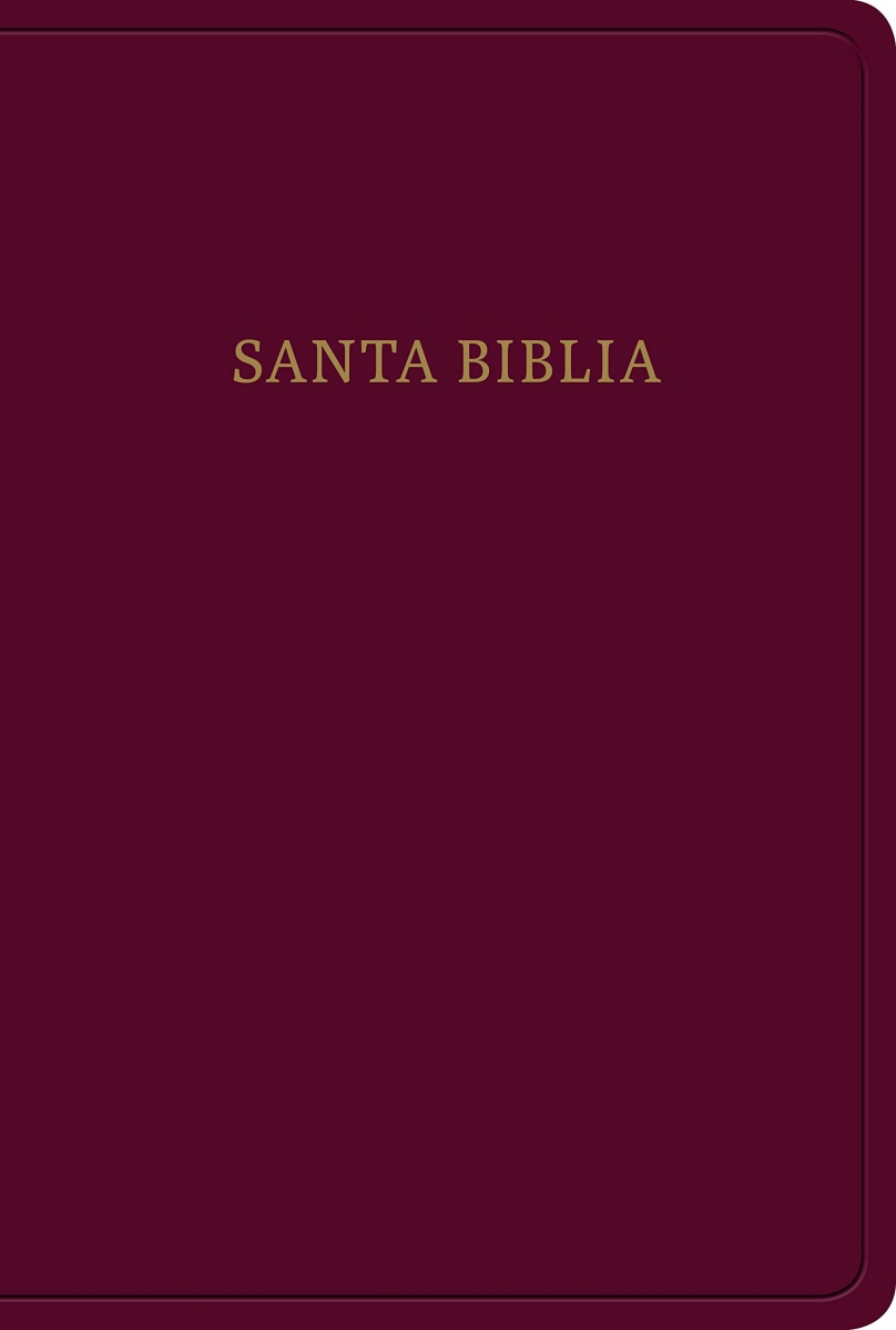 RVR1960 Biblia lt grande 12 puntos tamaño manual borgoña imi