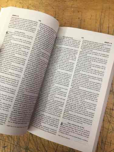 Rvr60 Biblia 500 Razones Para Celebrar