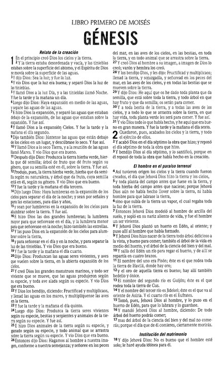 RVR77 Santa Biblia – Edición económica Paquete de 28