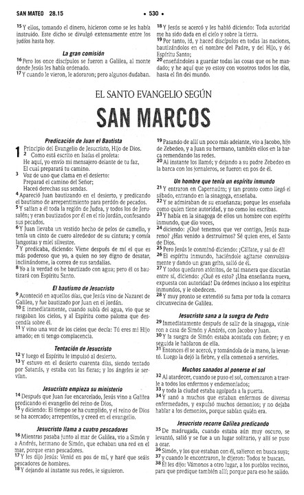 RVR77 Santa Biblia – Edición económica Paquete de 28
