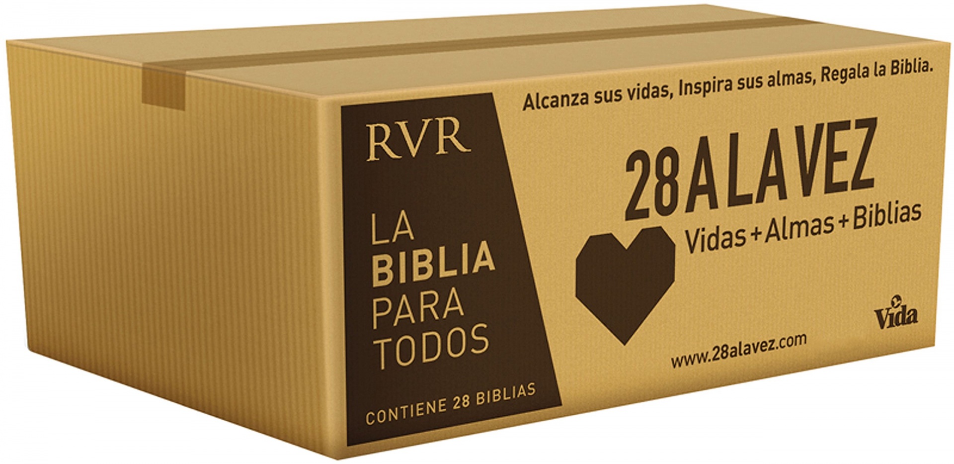 RVR77 Santa Biblia – Edición económica Paquete de 28