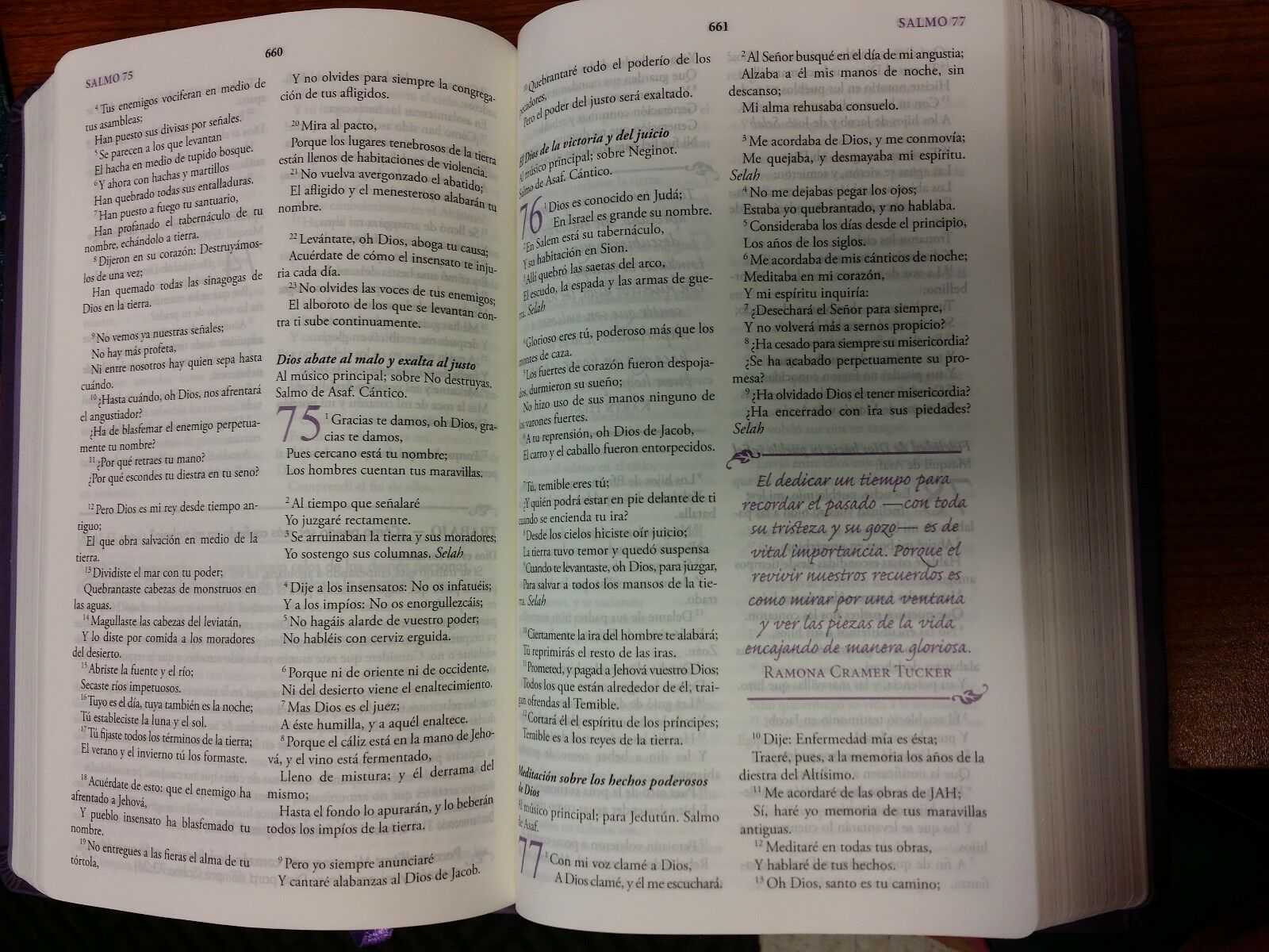 La Biblia Mujer De Hoy Piel Especial Púrpura RVR1960 - Image 7