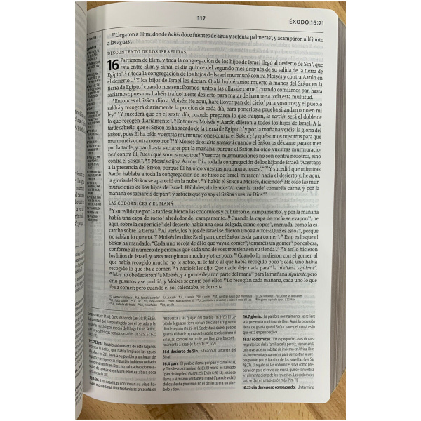 Lbla La Biblia de Estudio de la Reforma Símil Piel Ciruela - Image 12