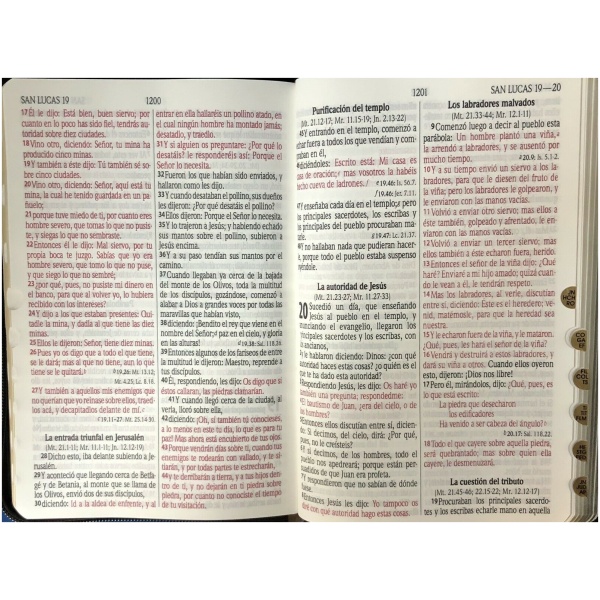 Biblia Rvr60 Piel Fabricada Café León Cierre Índice - Image 2