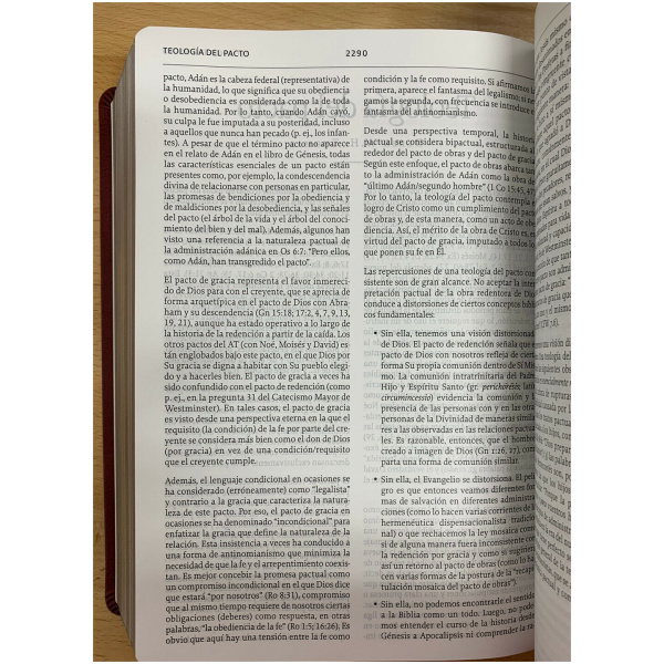 Lbla La Biblia de Estudio de la Reforma Símil Piel Ciruela - Image 7
