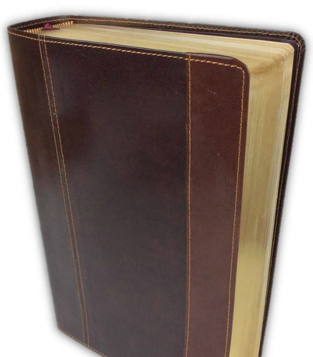 Santa Biblia De Estudio Arqueológica Nvi (piel Regenerada)
