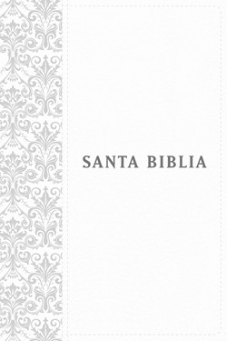 Santa Biblia NTV, Edición personal, letra grande