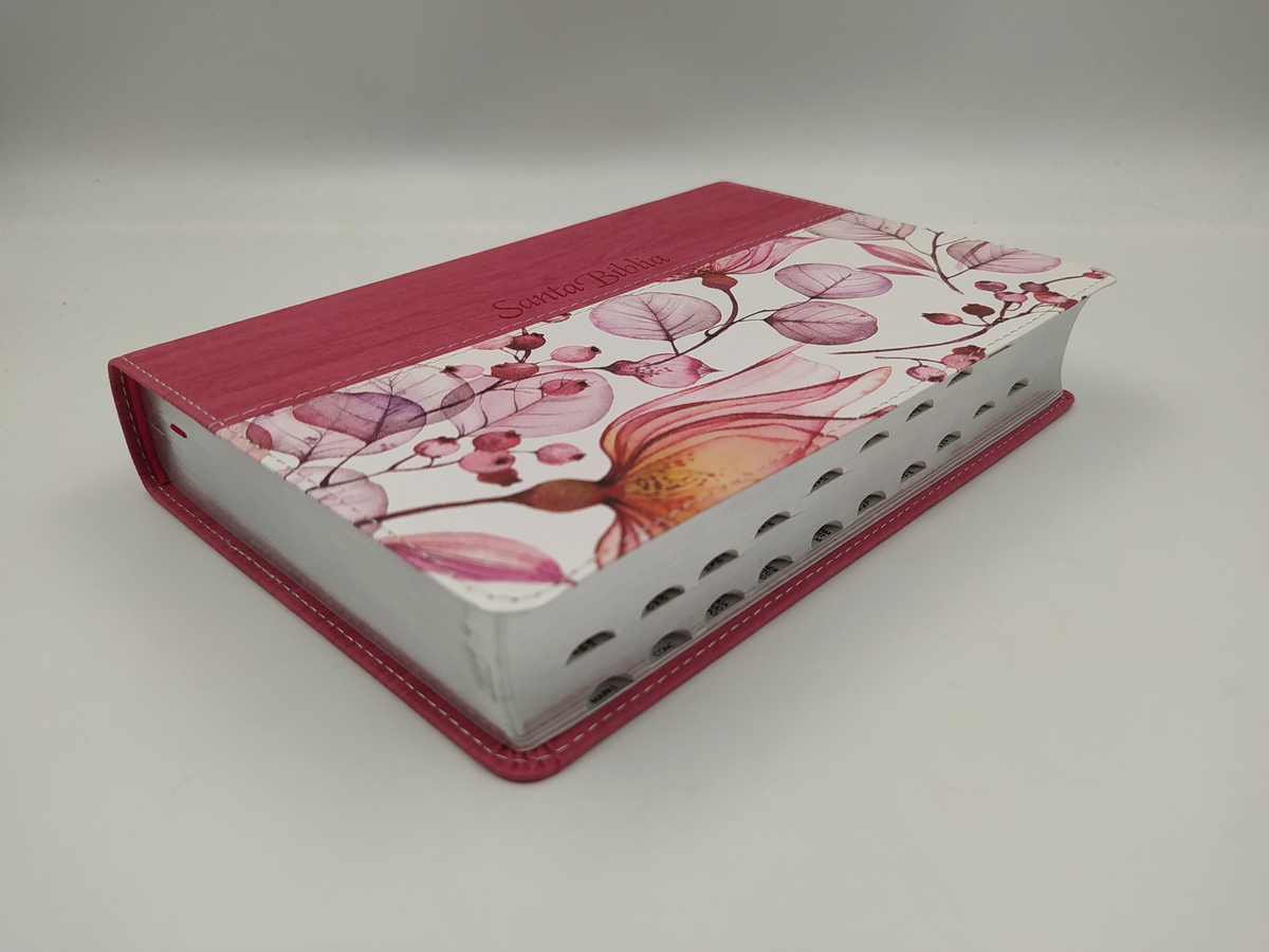 Santa Biblia NTV Personal Letra Grande Rosa PJR