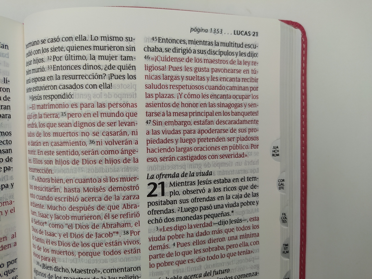 Santa Biblia NTV Personal Letra Grande Rosa PJR