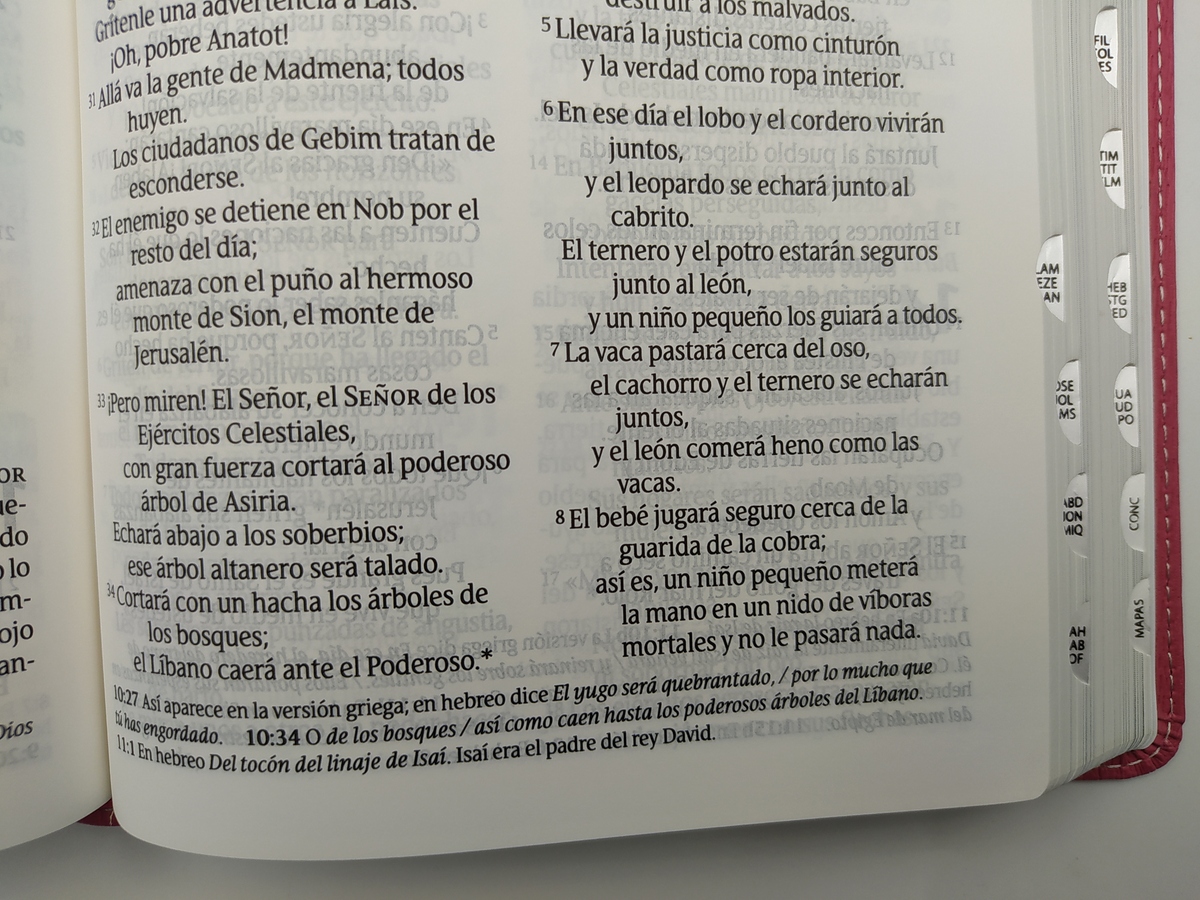 Santa Biblia NTV Personal Letra Grande Rosa PJR