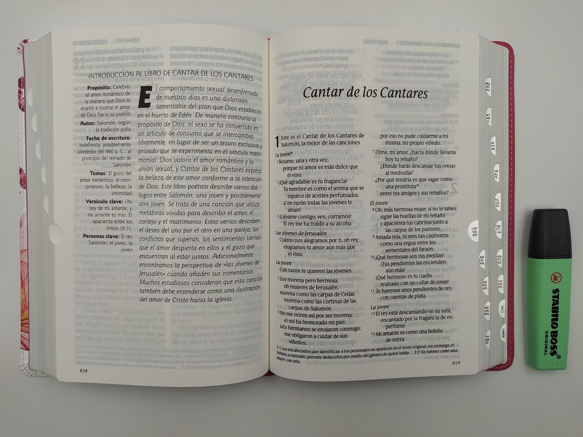 Santa Biblia NTV Personal Letra Grande Rosa PJR