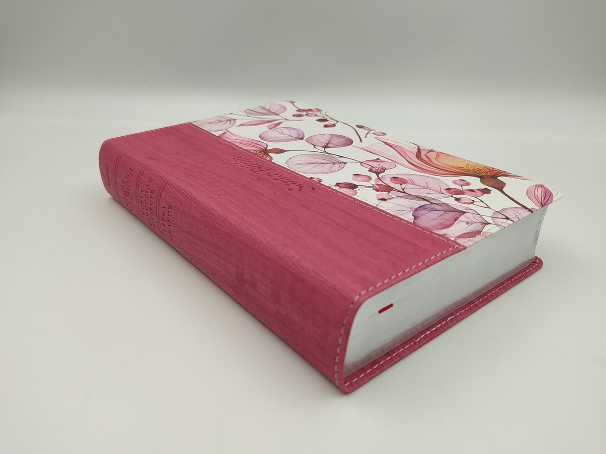 Santa Biblia NTV Personal Letra Grande Rosa PJR