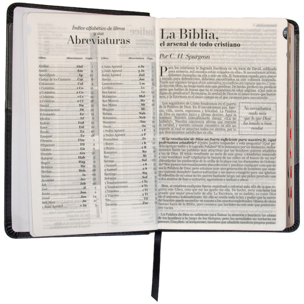 Biblia RVR1960 Bitono Negro Gris índice Letra Grande 12.5pt 065PJR - Image 2