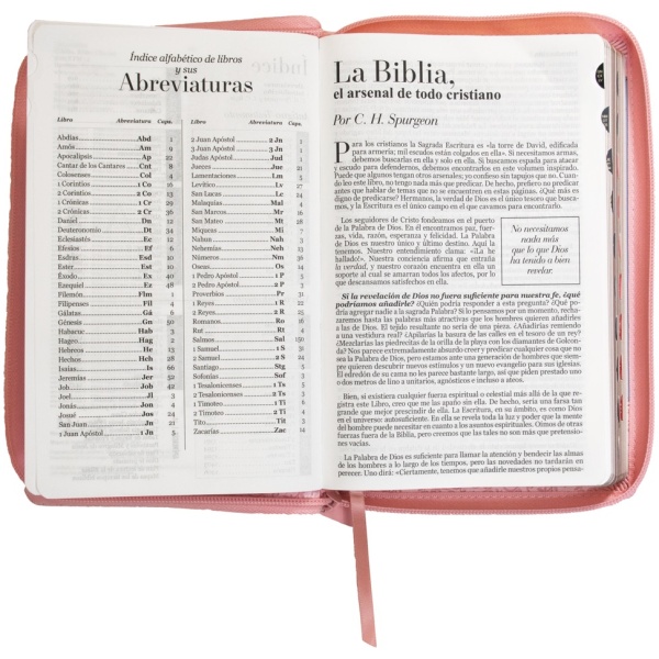 Biblia RVR1960 Rosa Azul Manual Cierre Índice 12.5pt 065PJR - Image 2