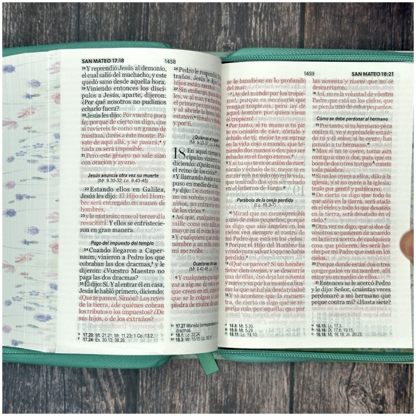 Biblia RVR1960 Primaveral Cierre Chica 11pt PJR - Image 5