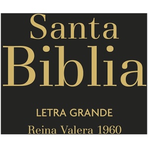 Biblia RVR1960 Letra Grande Negro Vinilo Manual Cierre Índice