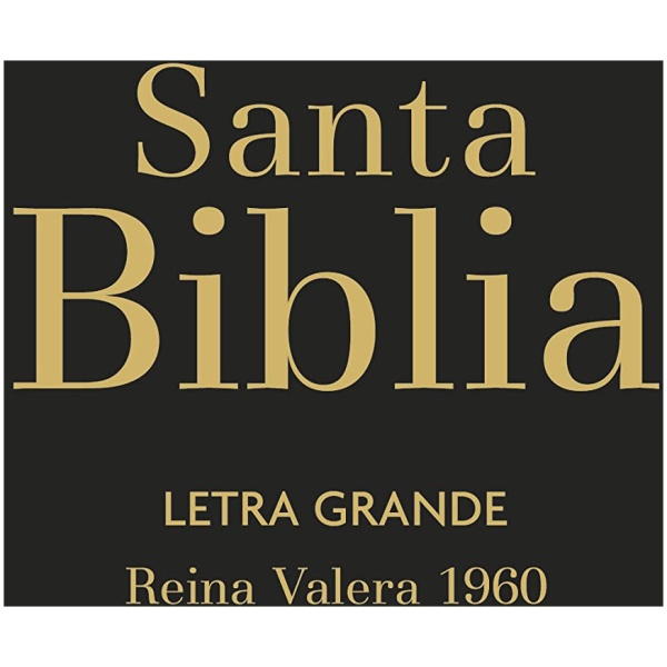 Biblia RVR1960 Letra Grande Negro Vinilo Manual Cierre Índice