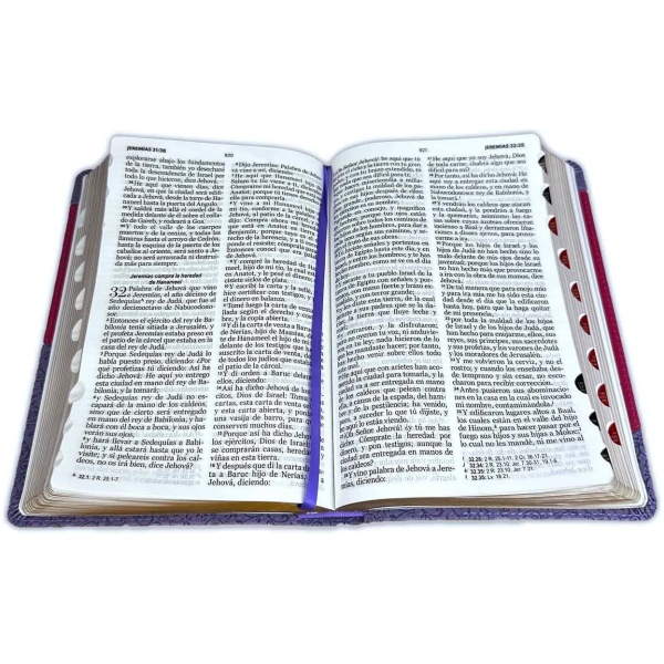 Biblia RVR1960 Letra Grande Manual S Piel  Lila Morado Índice Cierre 12.5pt 065PJR - Image 2