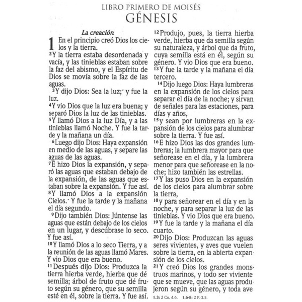 Biblia RVR1960 Letra Súpergigante Negro Cierre Índice - Image 5