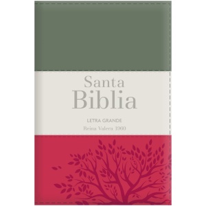 Biblia RVR1960 Letra Grande Gris Rojo Crema Manual Cierre Índice