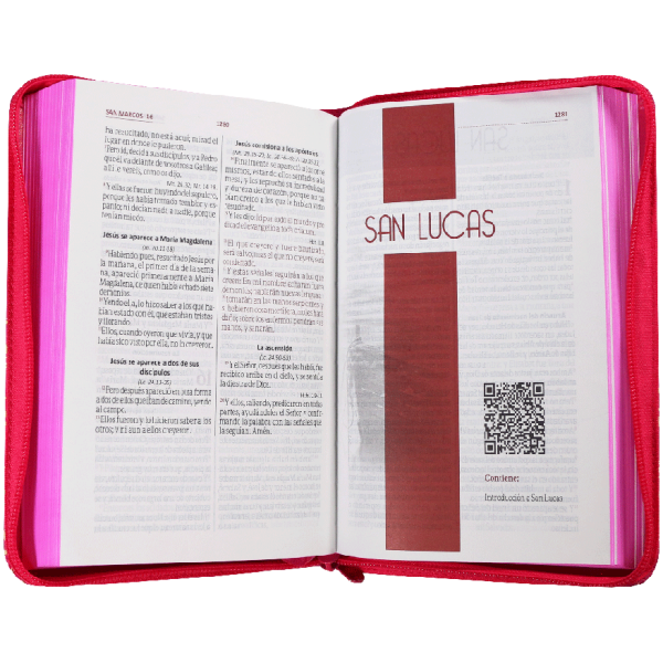 Biblia Rvr1960 Mediana Letra Grande Fucsia Hojitas Rvr065czl - Image 3