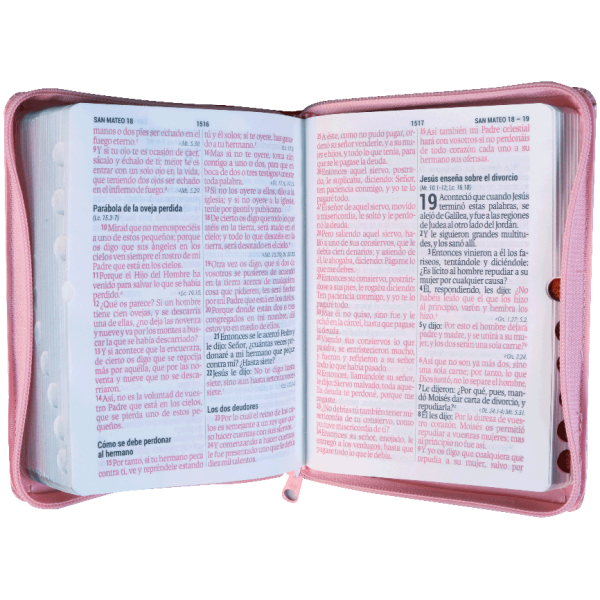 Biblia RVR1960 Chica Imitación Piel Rosa Rosa 11pt RVR046cLSGIPJRZTI PU - Image 2