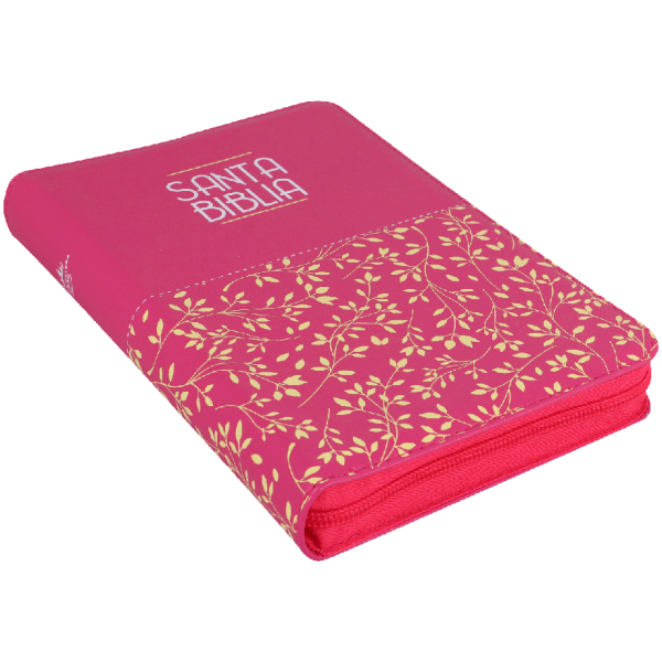 Biblia Rvr1960 Mediana Letra Grande Fucsia Hojitas Rvr065czl - Image 5
