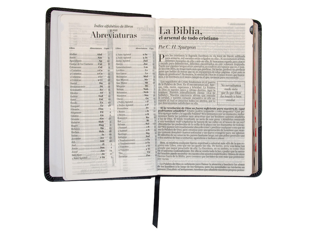Biblia RVR1960 Bitono Negro Gris índice Letra Grande 12.5pt 065PJR