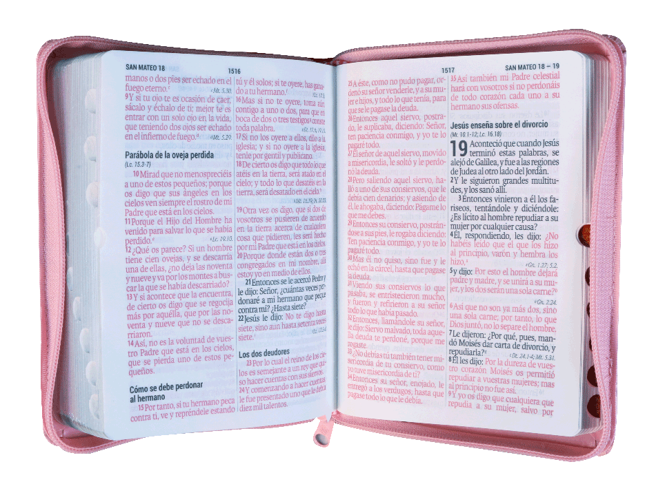 Biblia RVR1960 Chica Imitación Piel Rosa Rosa 11pt RVR046cLSGIPJRZTI PU