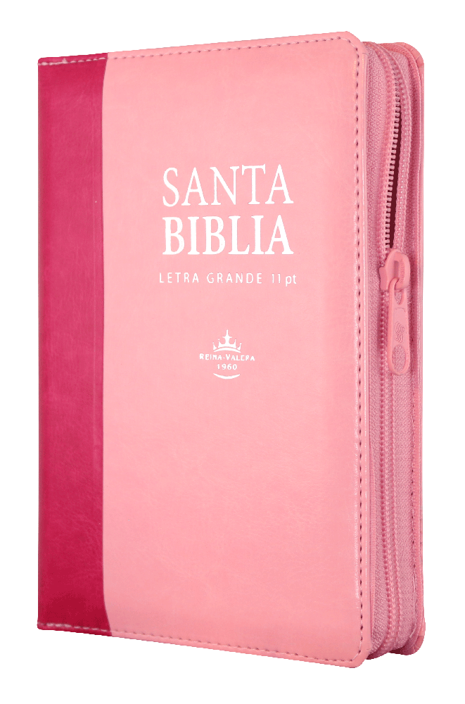 Biblia RVR1960 Chica Imitación Piel Rosa Rosa 11pt RVR046cLSGIPJRZTI PU