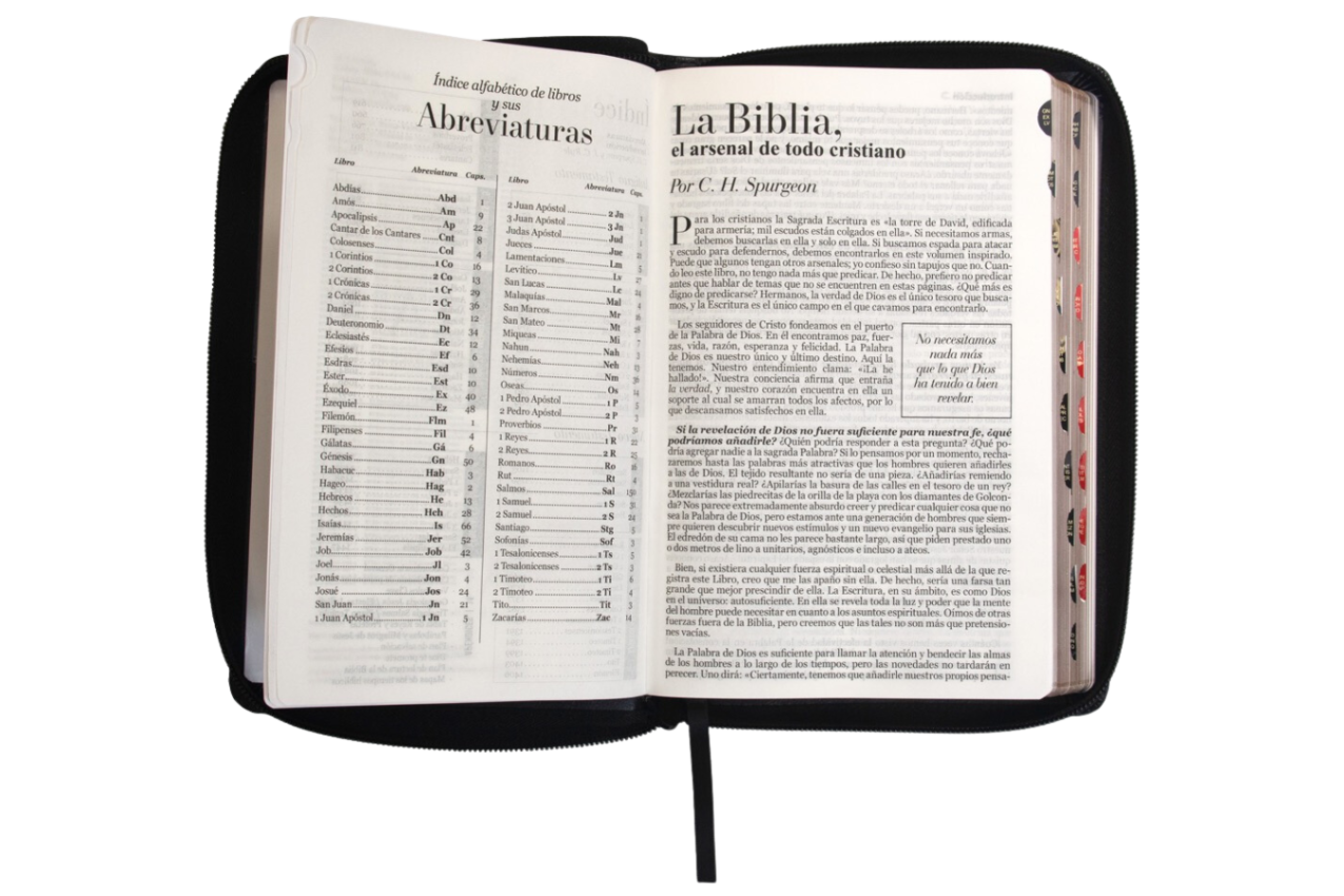Biblia RVR1960 Clásica Bitono Negro Gris Cierre Índice 12.5pt 065PJR