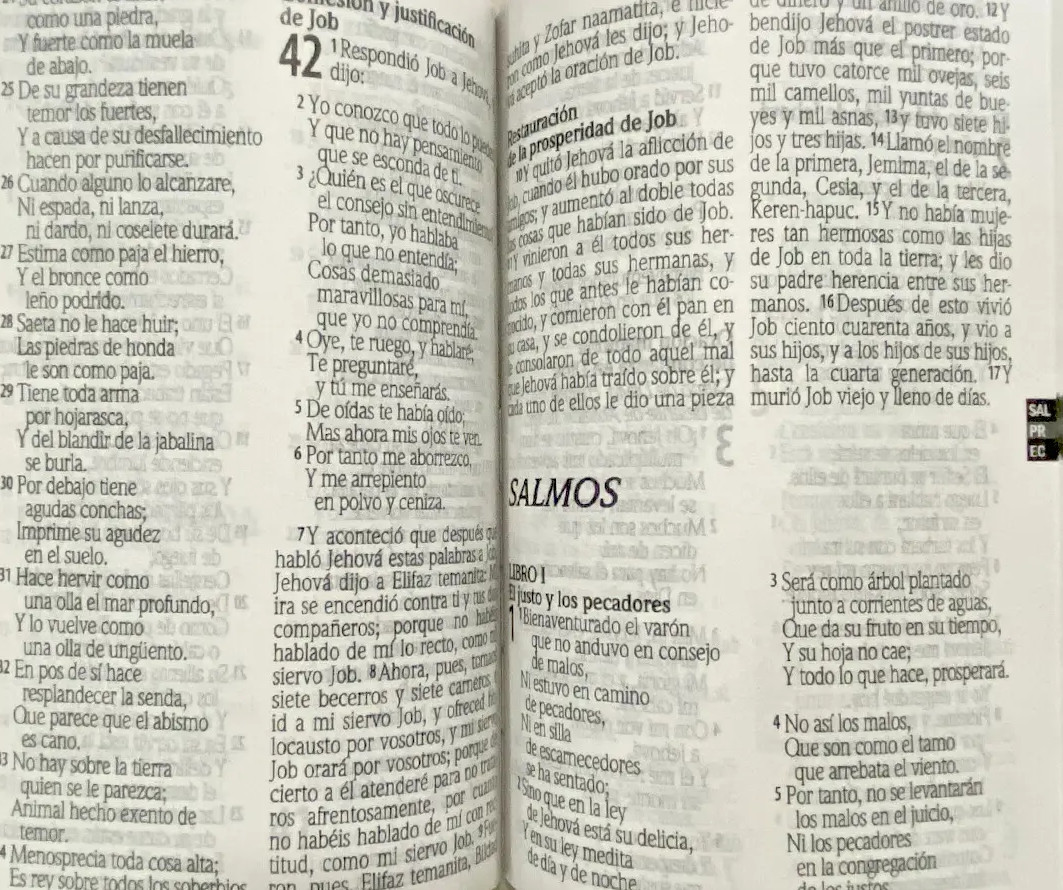 Biblia RVR1960 Economica tapa ilustrada RVR60ecLGiPJR
