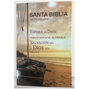 Biblia RVR1960 Economica tapa ilustrada RVR60ecLGiPJR
