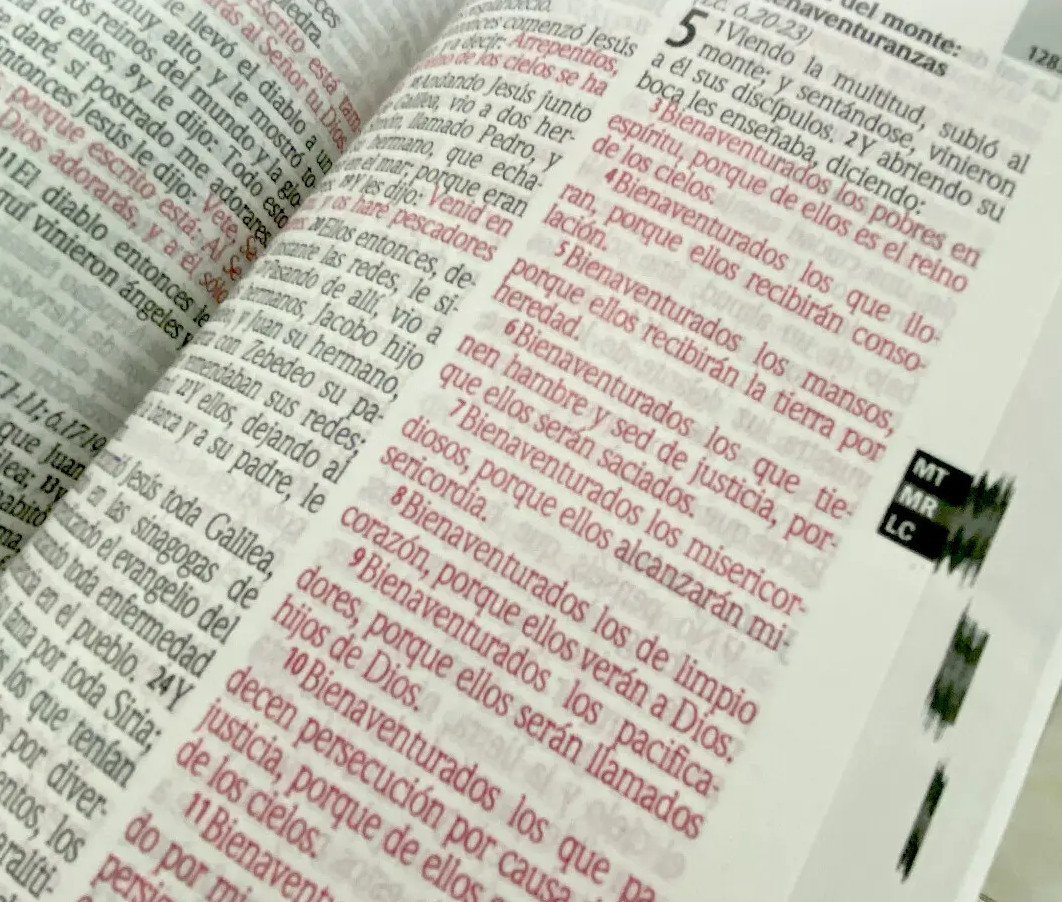 Biblia RVR1960 Economica tapa ilustrada RVR60ecLGiPJR