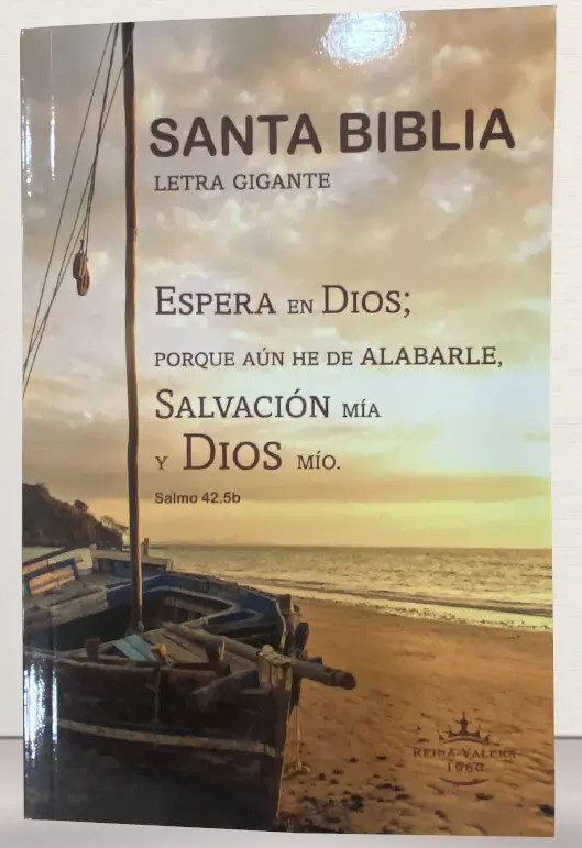 Biblia RVR1960 Economica tapa ilustrada RVR60ecLGiPJR