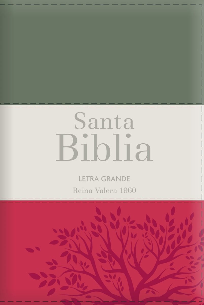 Biblia RVR1960 Letra Grande Gris Rojo Crema Manual Cierre Índice