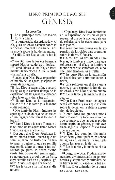 Biblia RVR1960 Letra Grande Guinda Palo Rosa Marrón Manual Cierre Índice