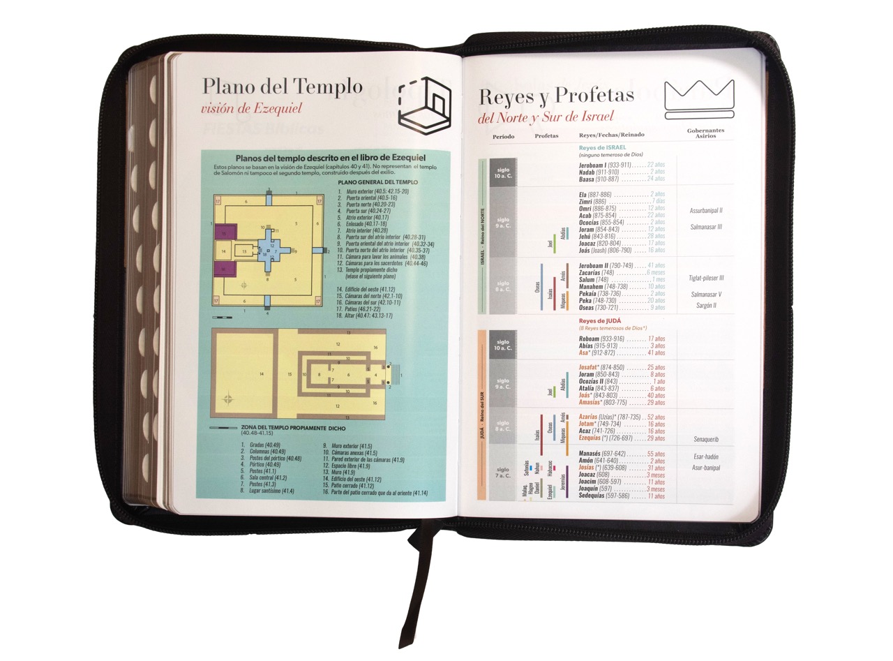 Biblia RVR1960 Letra Grande Manual S Piel Café Índice Cierre 12.5pt 065PJR