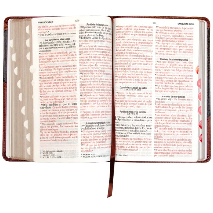 Biblia RVR1960 Letra Grande Manual S Piel Marrón Índice Cierre 12.5pt 065PJR